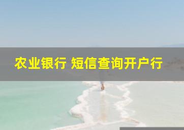 农业银行 短信查询开户行